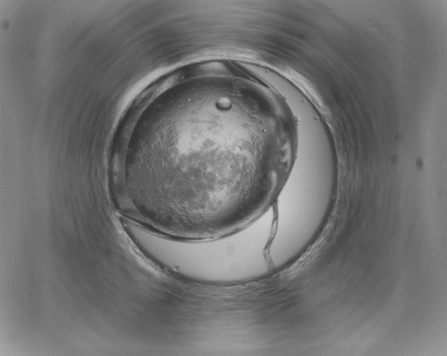 X0000061740854200512091608