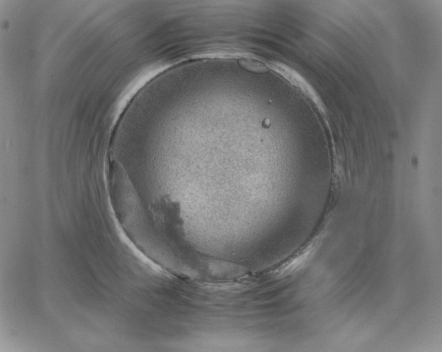 X0000061740855200512091608