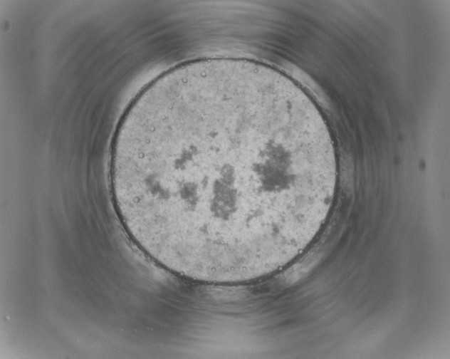 X0000061740856200512091608