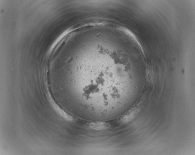 X0000061740859200512091609