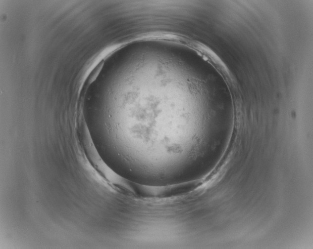 X0000061740860200512091609