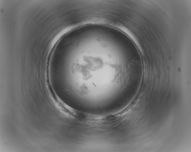 X0000061740861200512091609