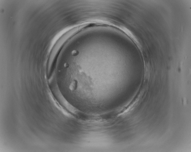 X0000061740862200512091609