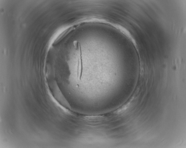 X0000061740863200512091609