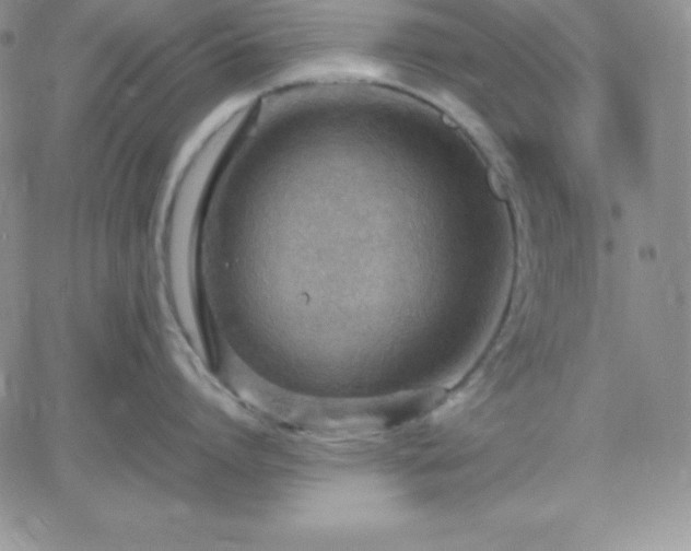 X0000061740864200512091609