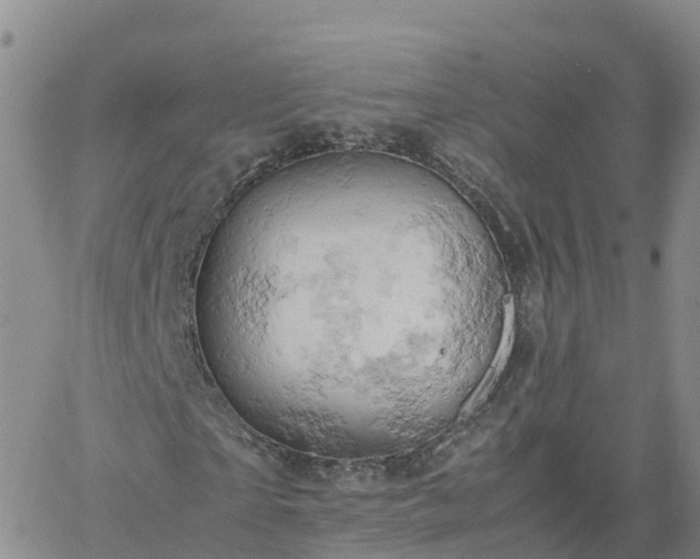 X0000061740865200512091608