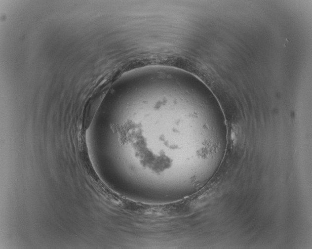 X0000061740867200512091608