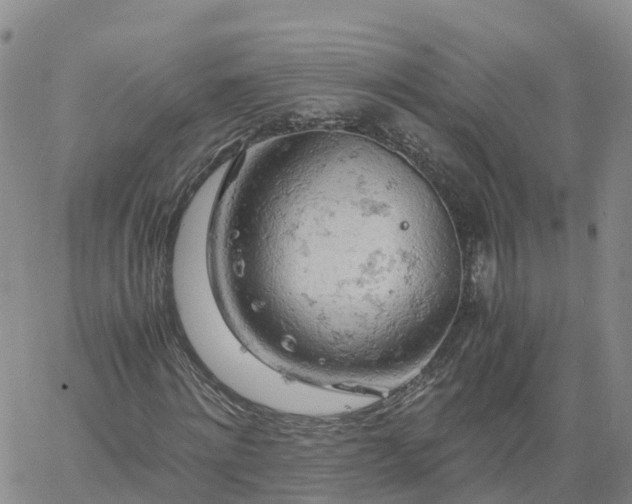 X0000061740868200512091608