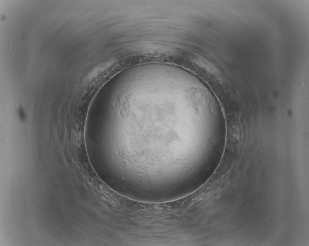 X0000061740869200512091608