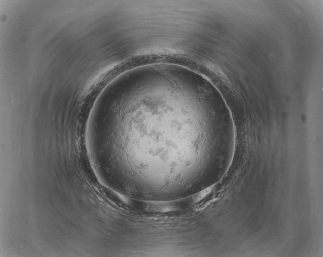 X0000061740872200512091608