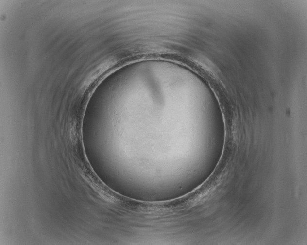 X0000061740873200512091608