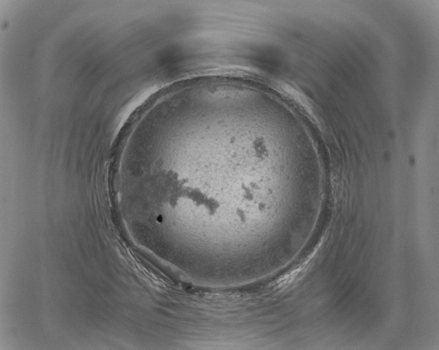 X0000061740875200512091608