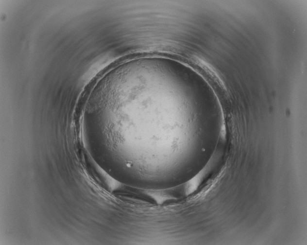 X0000061740876200512091608