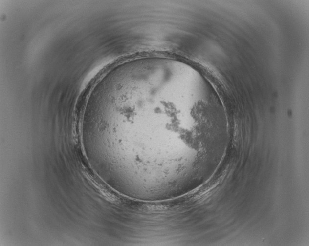 X0000061740878200512091608