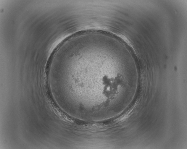 X0000061740879200512091608