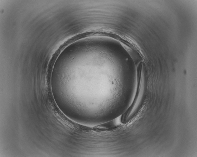 X0000061740880200512091608