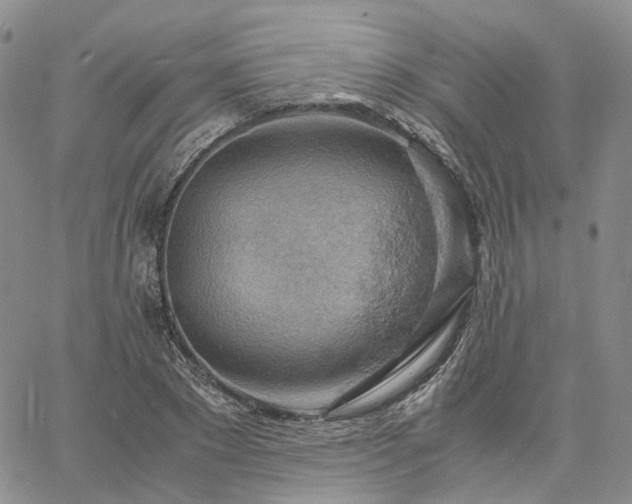 X0000061740881200512091608