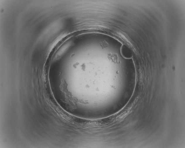 X0000061740883200512091608