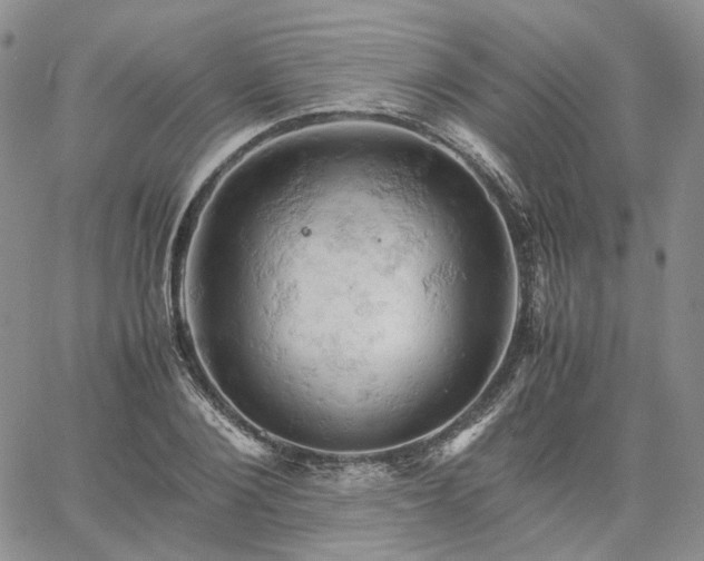 X0000061740884200512091608