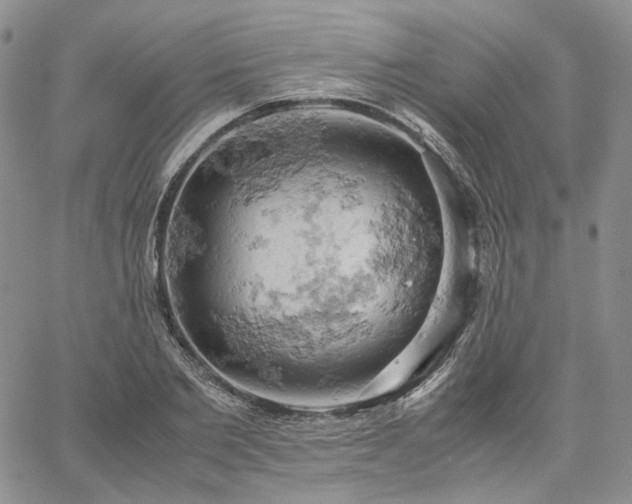 X0000061740885200512091607