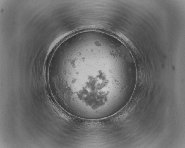 X0000061740886200512091607