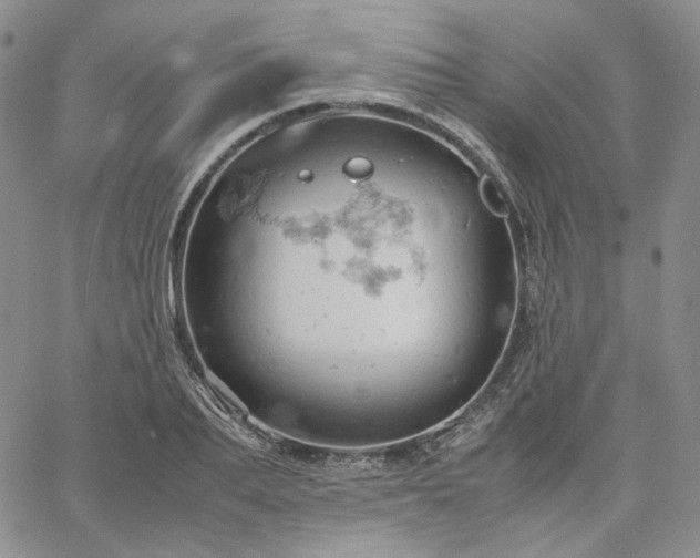 X0000061740887200512091607