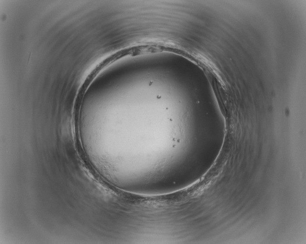 X0000061740888200512091607