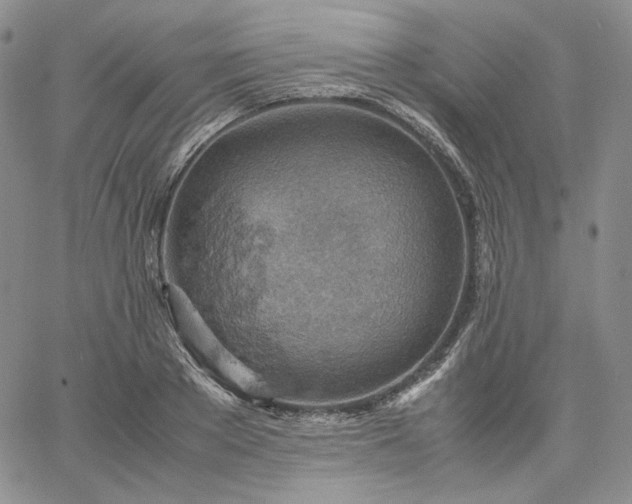 X0000061740889200512091607