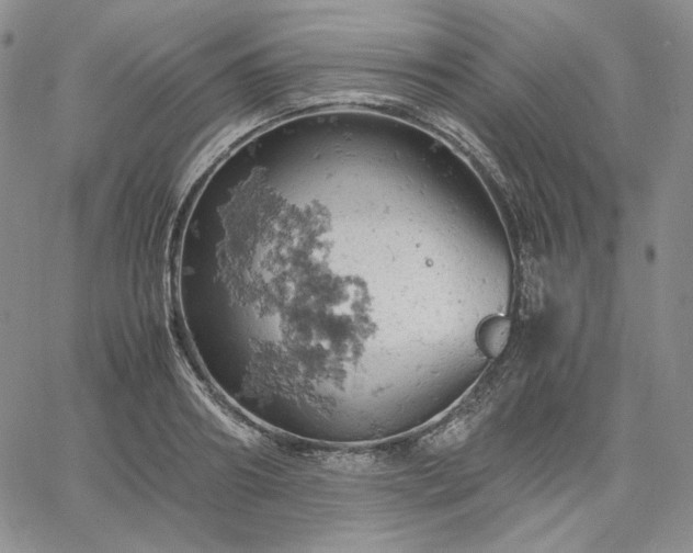 X0000061740890200512091607