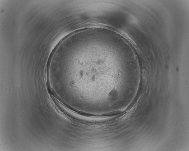 X0000061740891200512091607