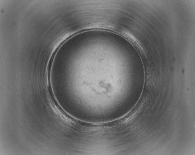 X0000061740892200512091607