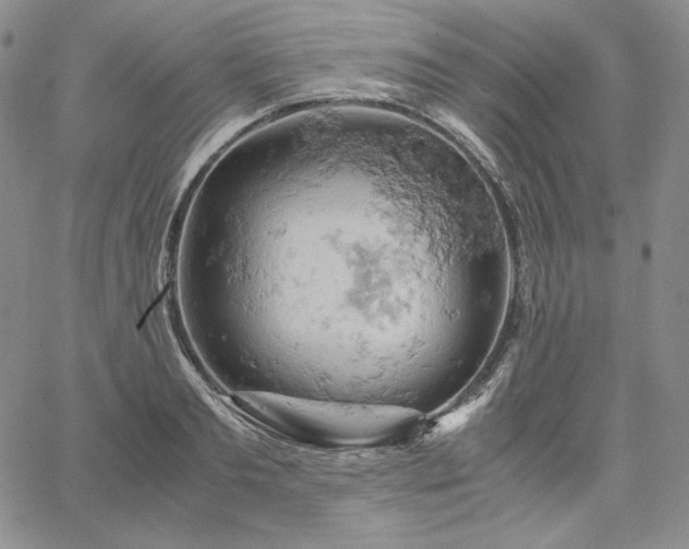 X0000061740893200512091607