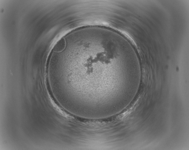 X0000061740895200512091607