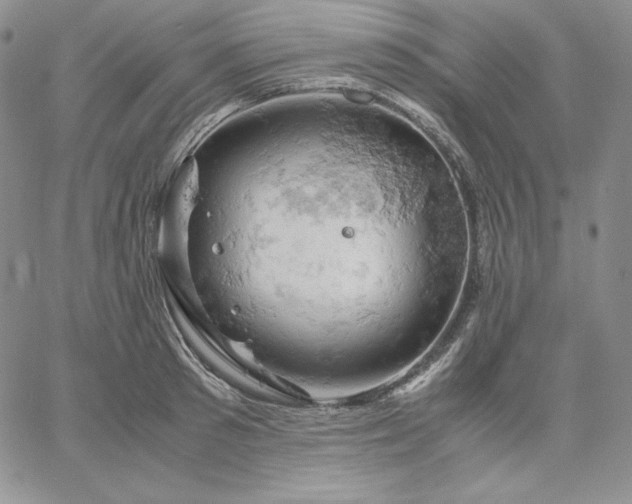 X0000061740897200512091607