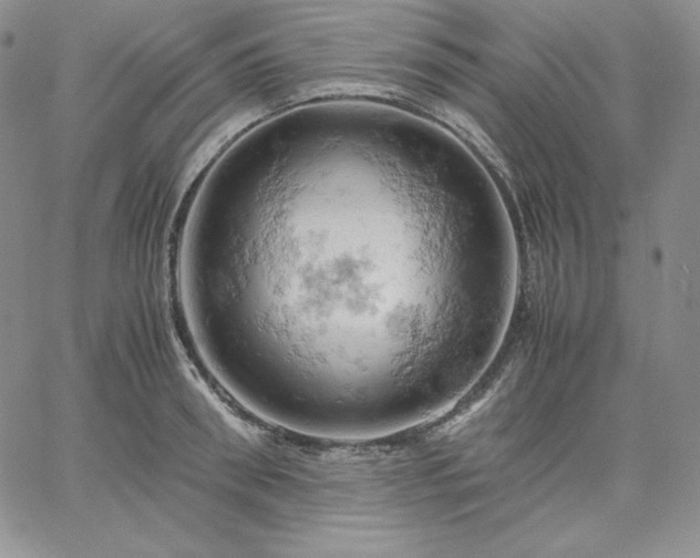 X0000061740898200512091607