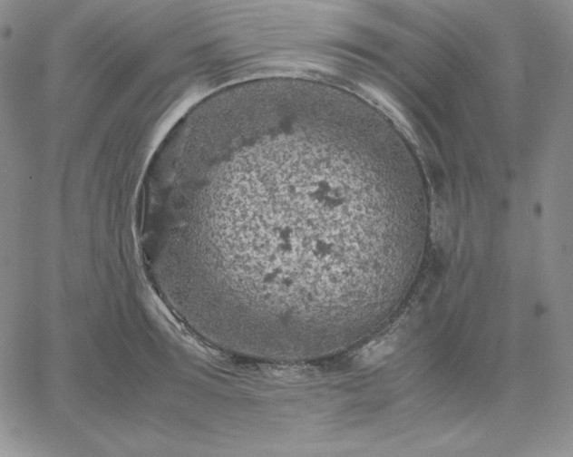 X0000061740899200512091607