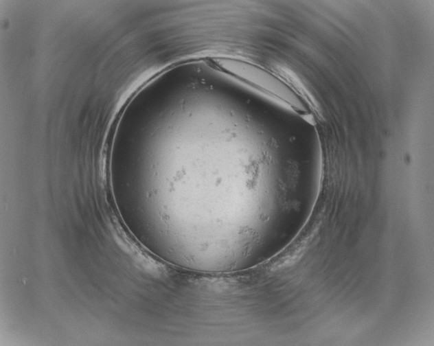 X0000061740900200512091607