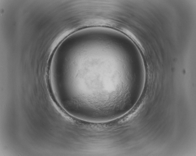 X0000061740901200512091607