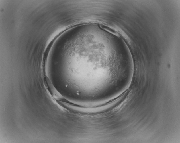 X0000061740902200512091607