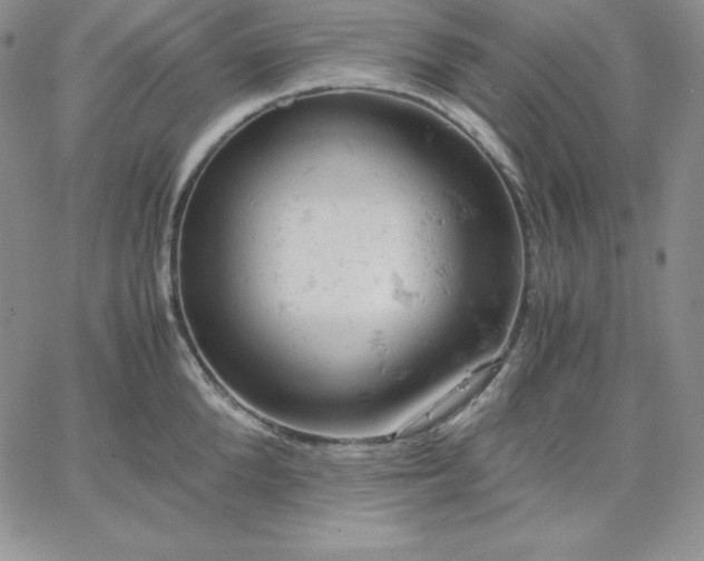 X0000061740904200512091607