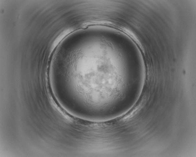 X0000061740906200512091607