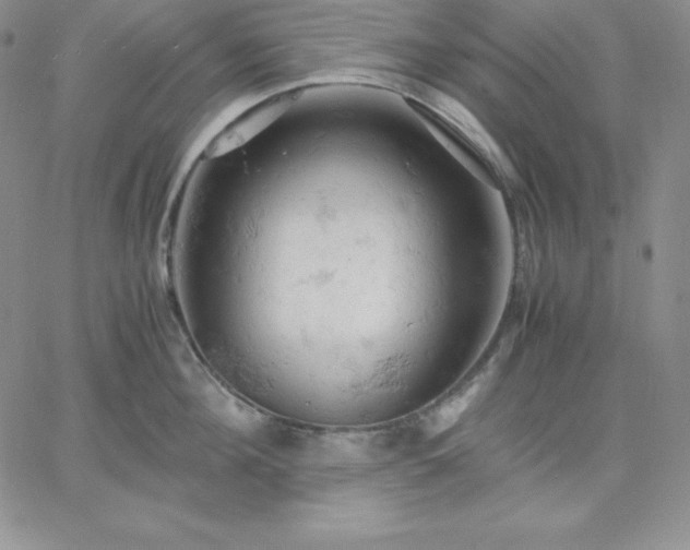 X0000061740908200512091607