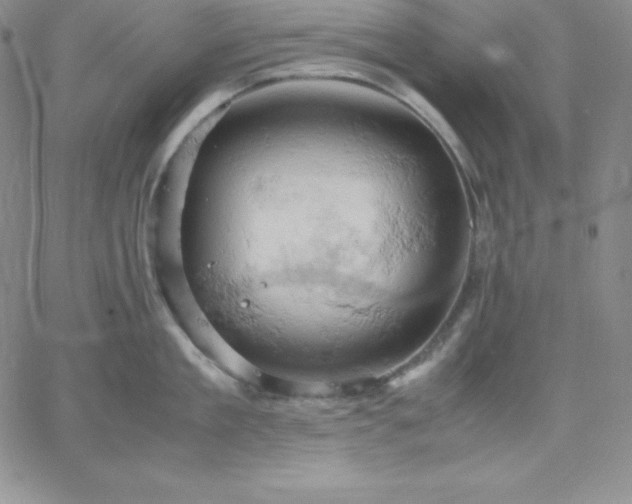 X0000061740909200512091607