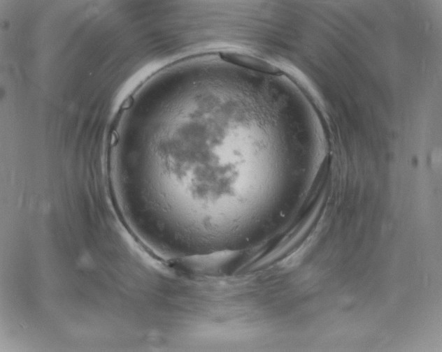 X0000061740910200512091607