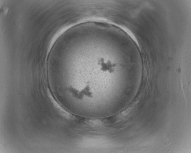 X0000061740911200512091607