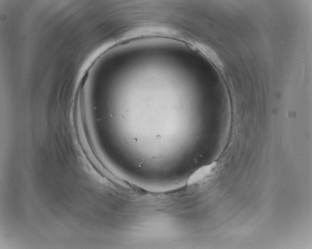 X0000061740912200512091607