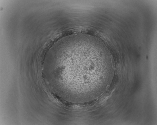 X0000061740913200512091606