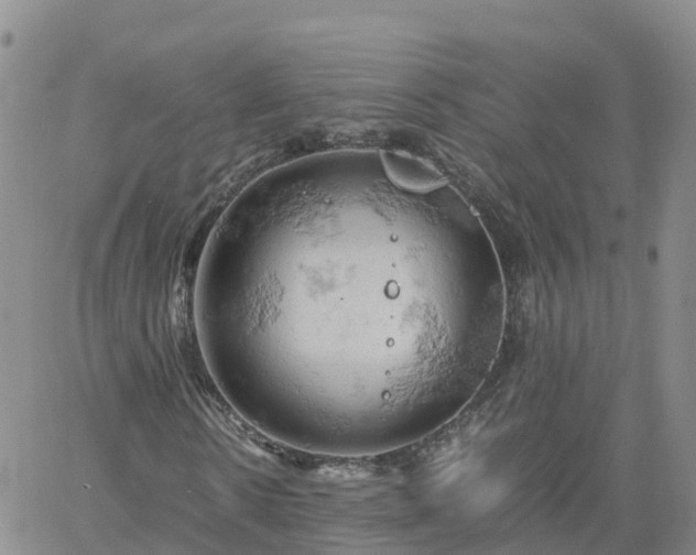 X0000061740914200512091606