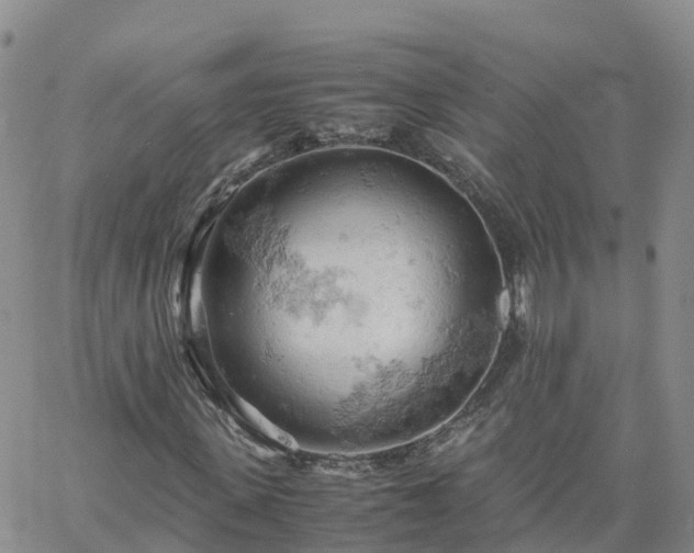 X0000061740915200512091606