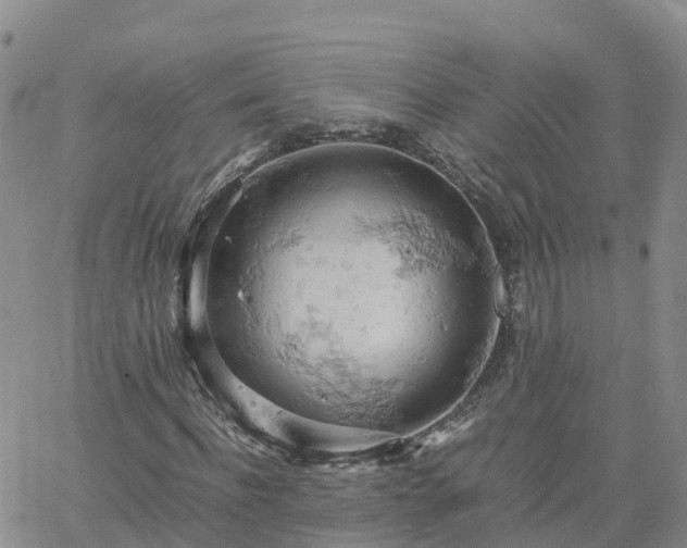 X0000061740916200512091606